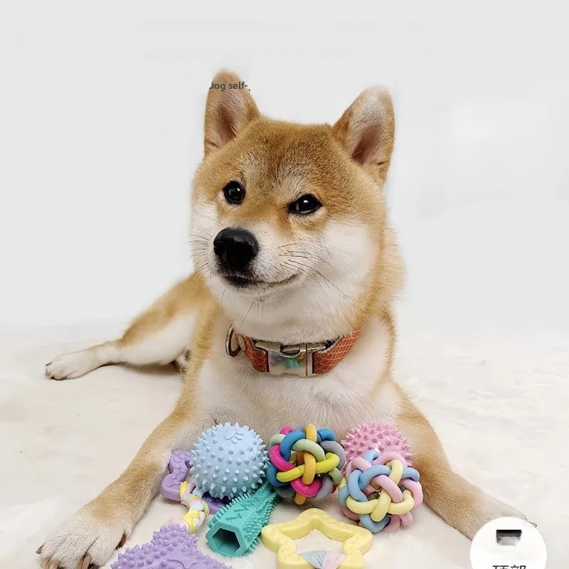 Interactive Pet Rubber Ball Toy