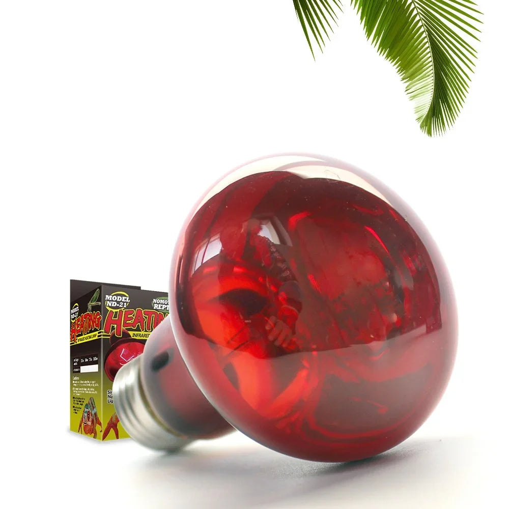 Infrared Heat Lamp Bulb