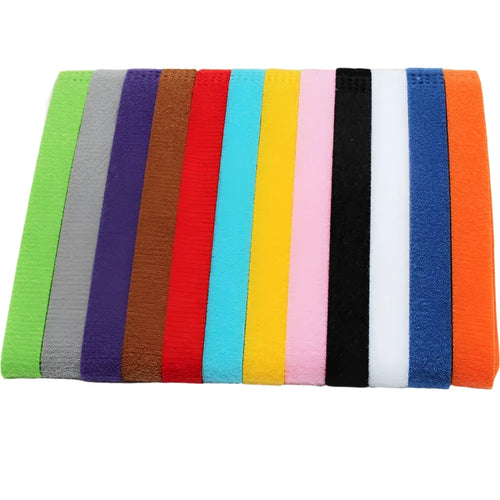 colourful pet collars
