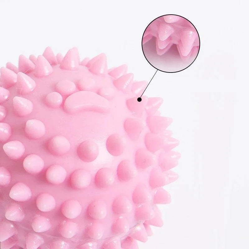 Interactive Pet Rubber Ball Toy