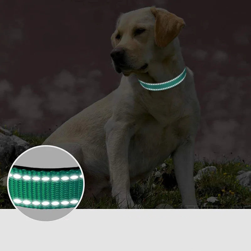 Dog Collar Strap With Adjustable Safety Nylon