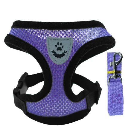Adjustable Collar With Leash For Pets