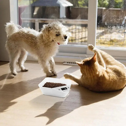 High Precision Digital Pet Scale, part of the RPBA Shop range for pets