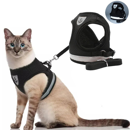 Pet Vest Harness With Leash available from RPBA Shop