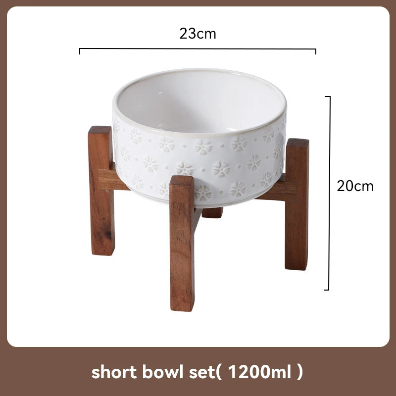 Elevated Dog Feeding Bowl Set