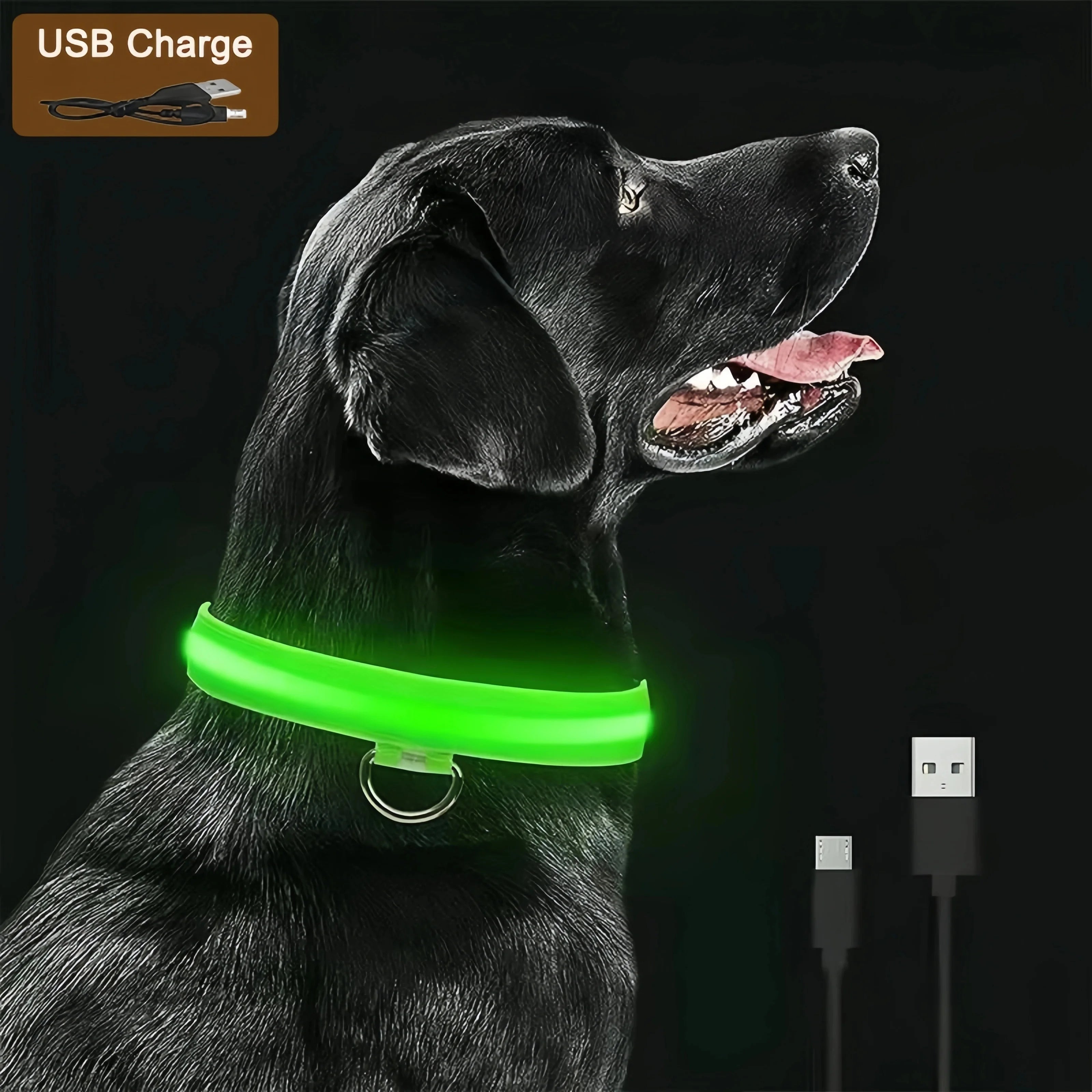 USB Rechargeable Light-Up Dog Collar