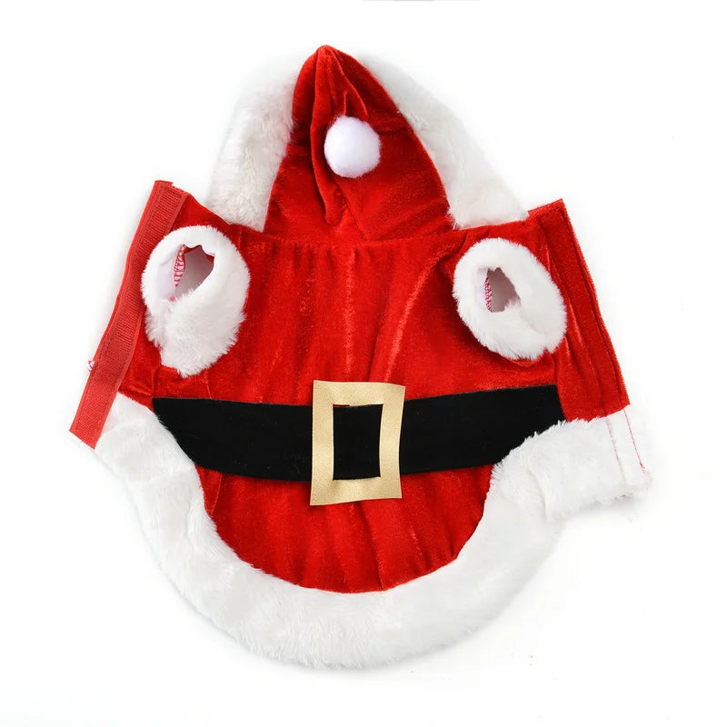 Santa Inspired Pet Costume