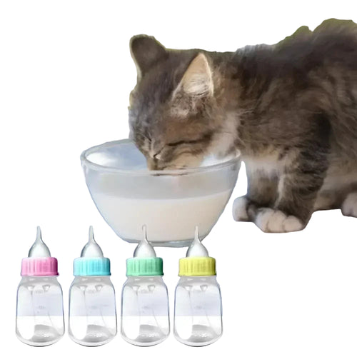 milk bottle