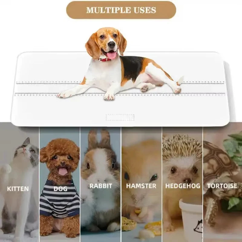 Large Precision Electronic Pet Scale