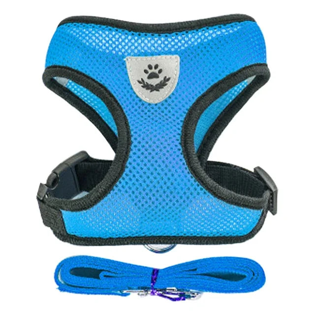 Adjustable Collar With Leash For Pets