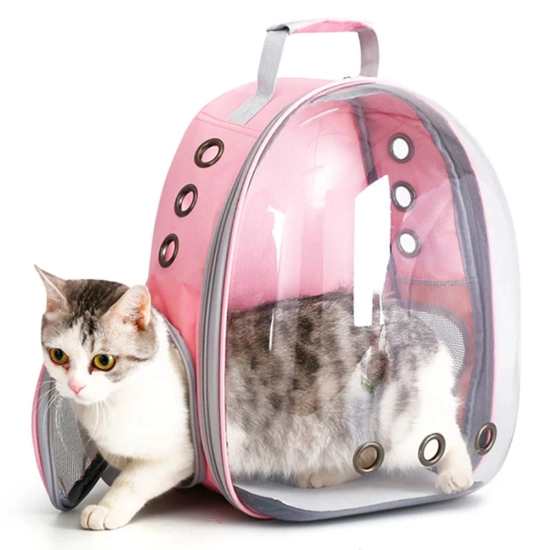 Pet Transparent Carrier Capsule Design Backpack