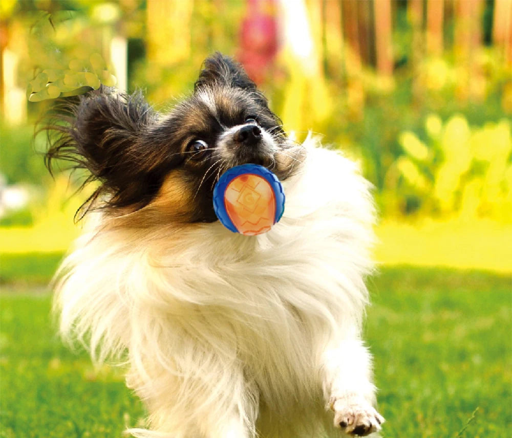Squeaky Rubber Ball Dog Chew Toy