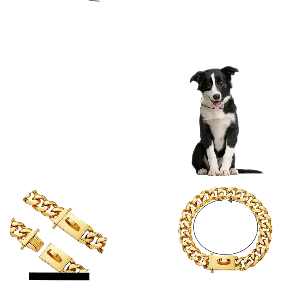 19mm Gold Chain Dog Collar and Snap Buckle