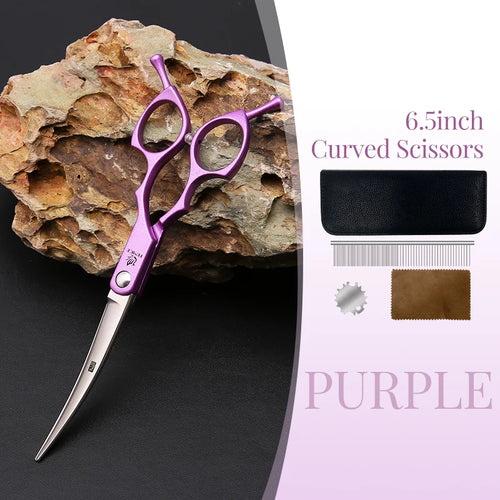 Grooming scissors set for dogs, five coloured straight, curved and thinning shears on a plain white background
