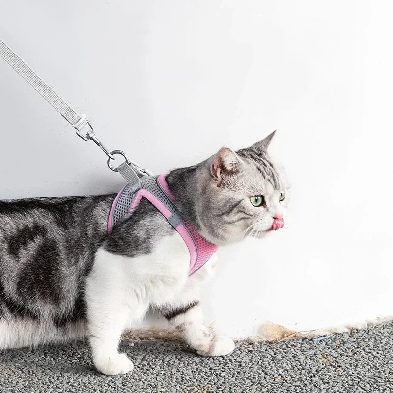 Reflective Cat Harness and Leash Set