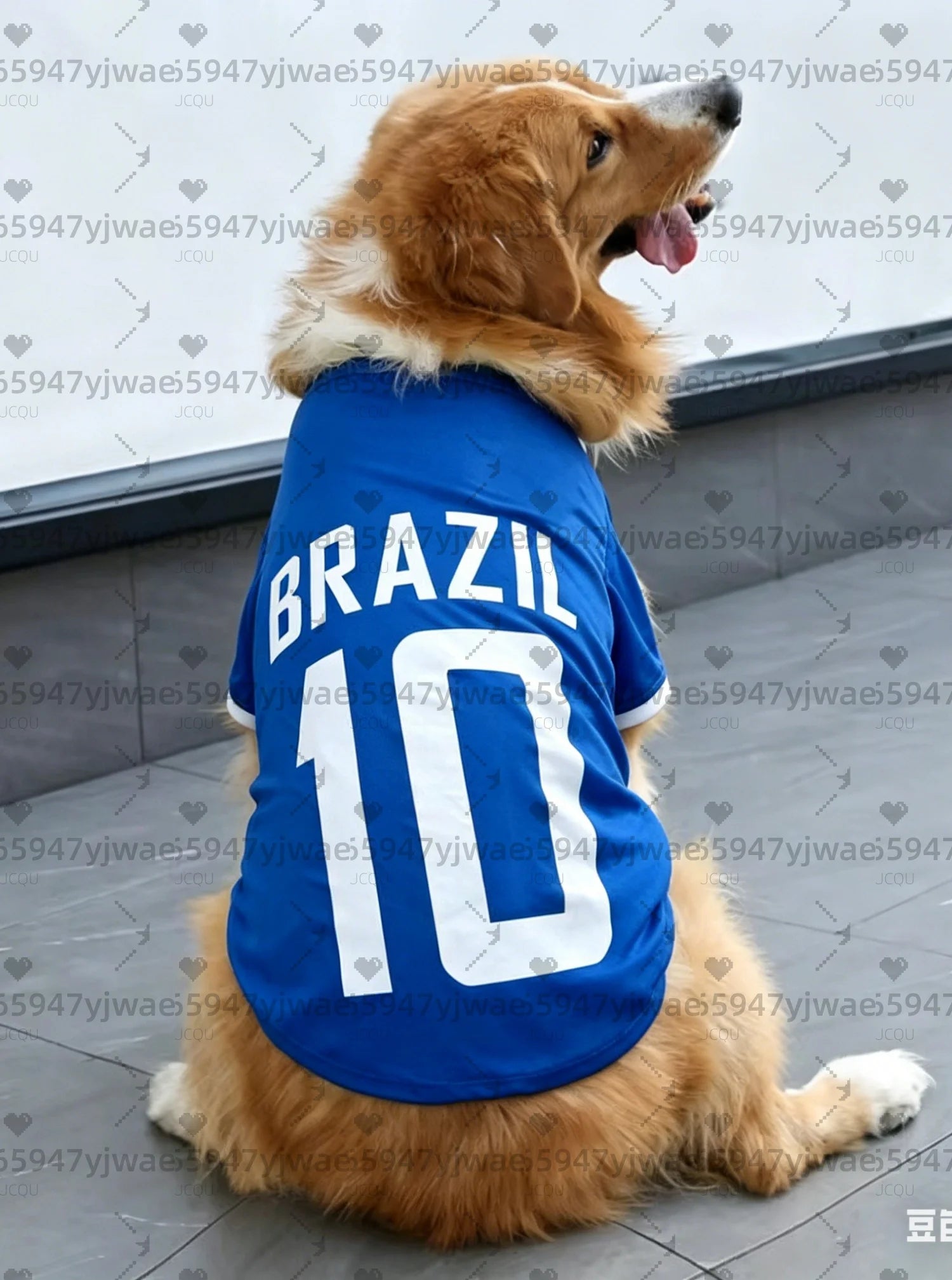 Brazil No.10 Dog Football Jersey