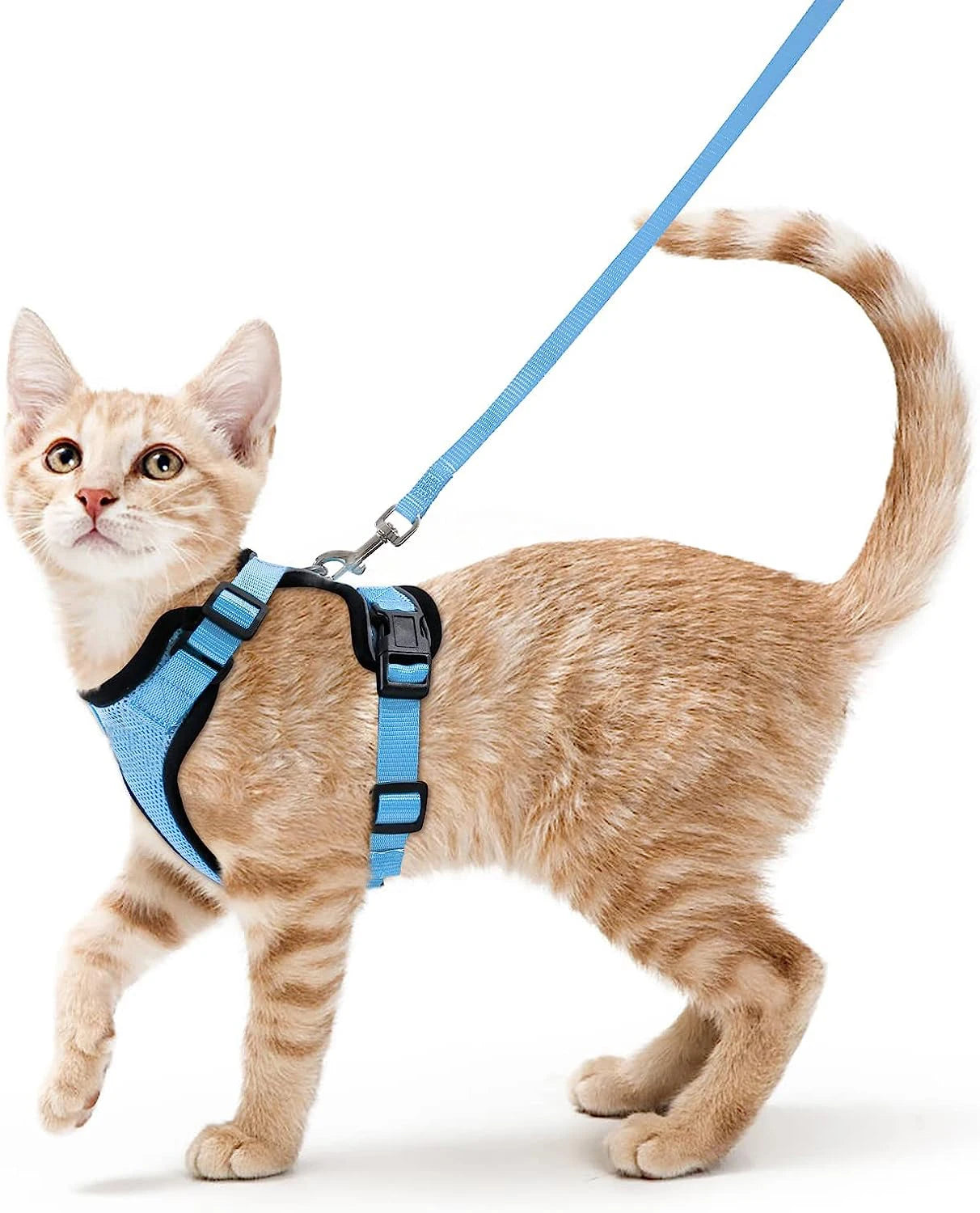 Adjustable Cat Harness and Leash Set