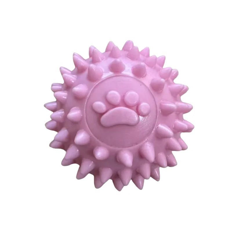 Interactive Pet Rubber Ball Toy