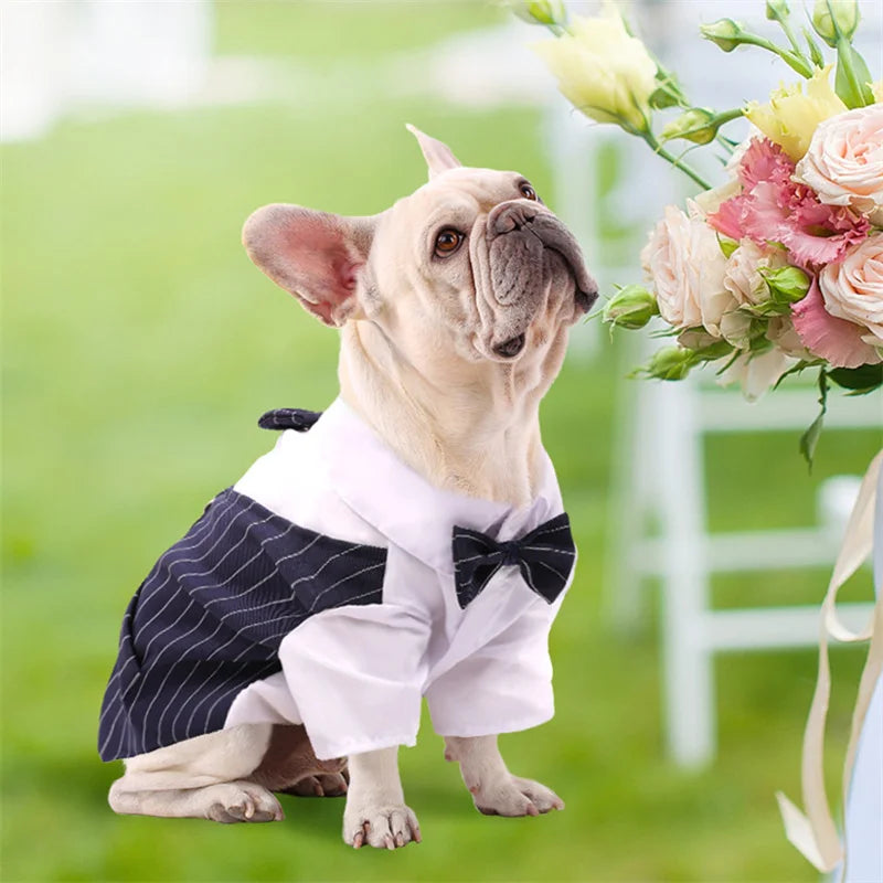 Custome Pet Party Tuxedo Attire