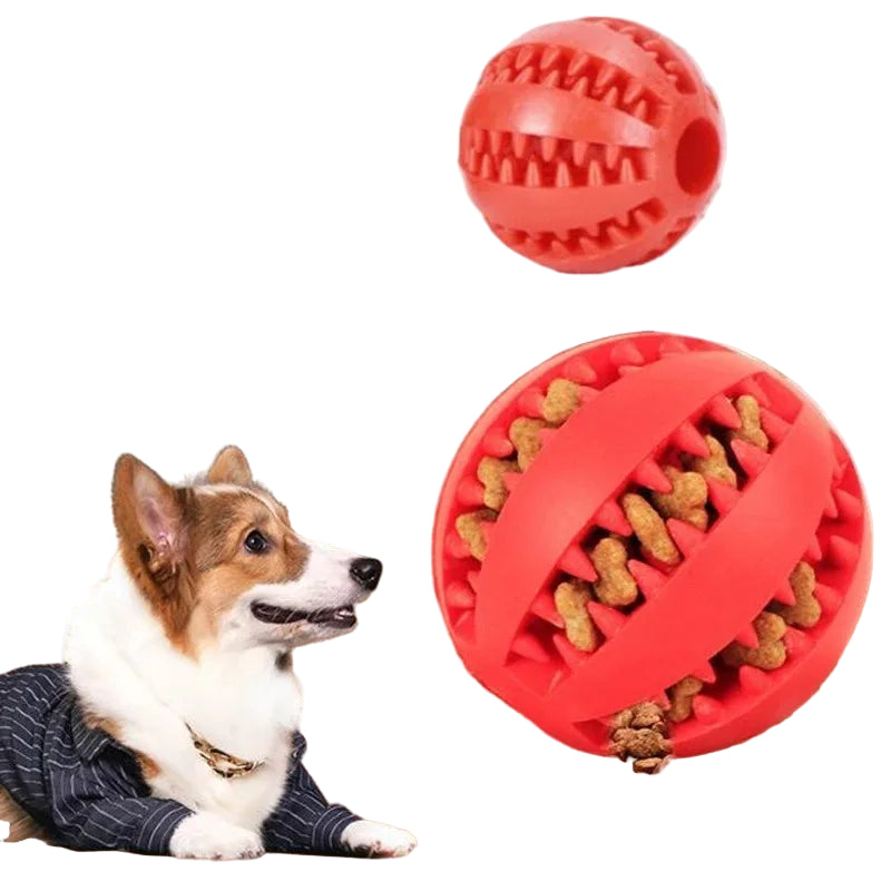 Pet Interactive Treat Ball