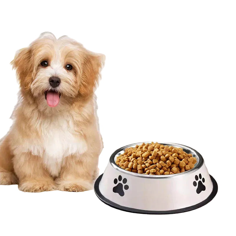 Large Stainless Steel Pet Food Bowl