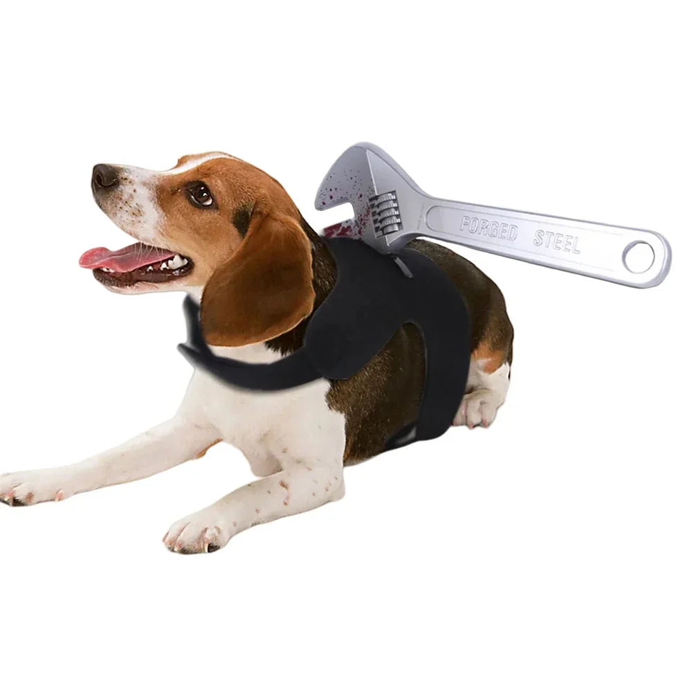 Halloween Inspired Dog Costume