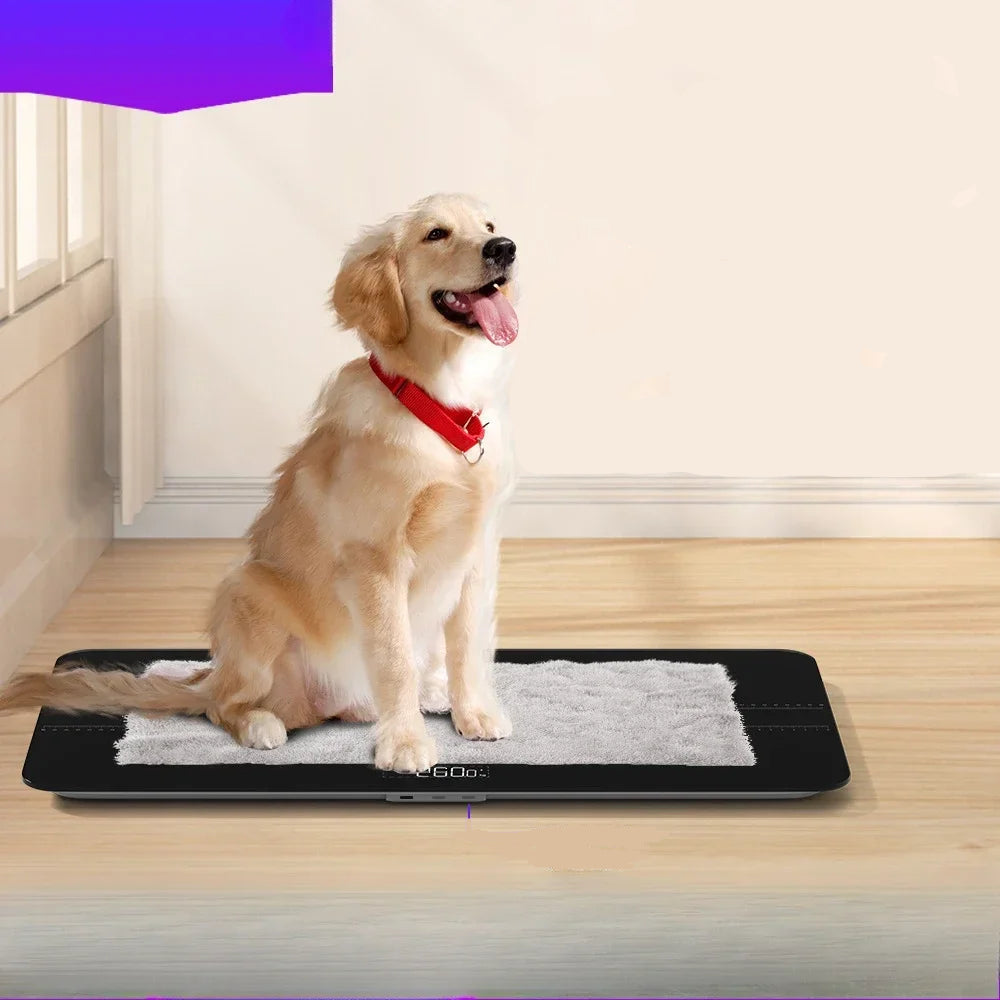 Large Precision Electronic Pet Scale