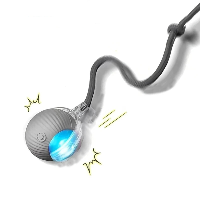New Automatic Rolling Ball Toy for Cats