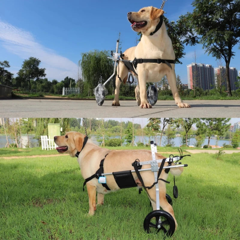 Large Dog Wheelchair for Hind Limb Support