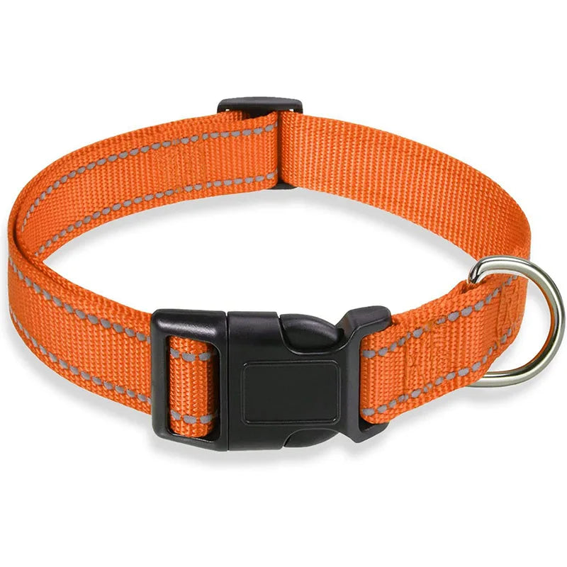 Dog Collar Strap With Adjustable Safety Nylon