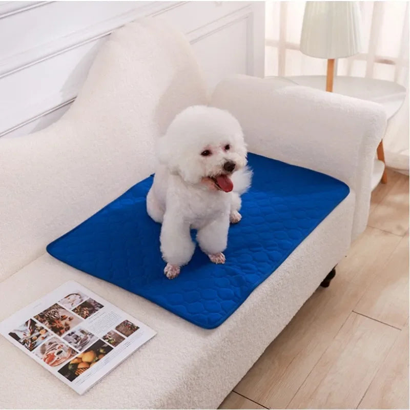 Reusable Pet Pee Blanket - RPBA Shop Australia