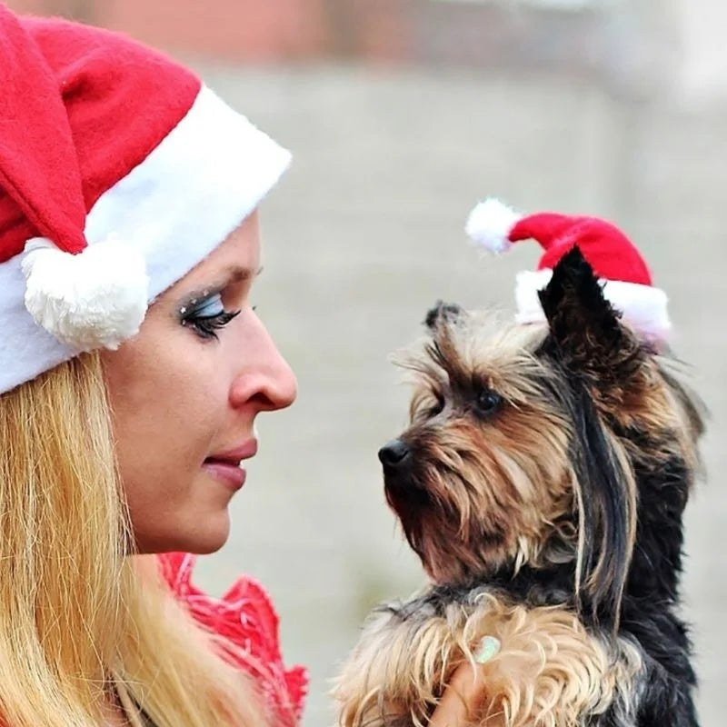 Santa Claus Inspired Hat for Pets