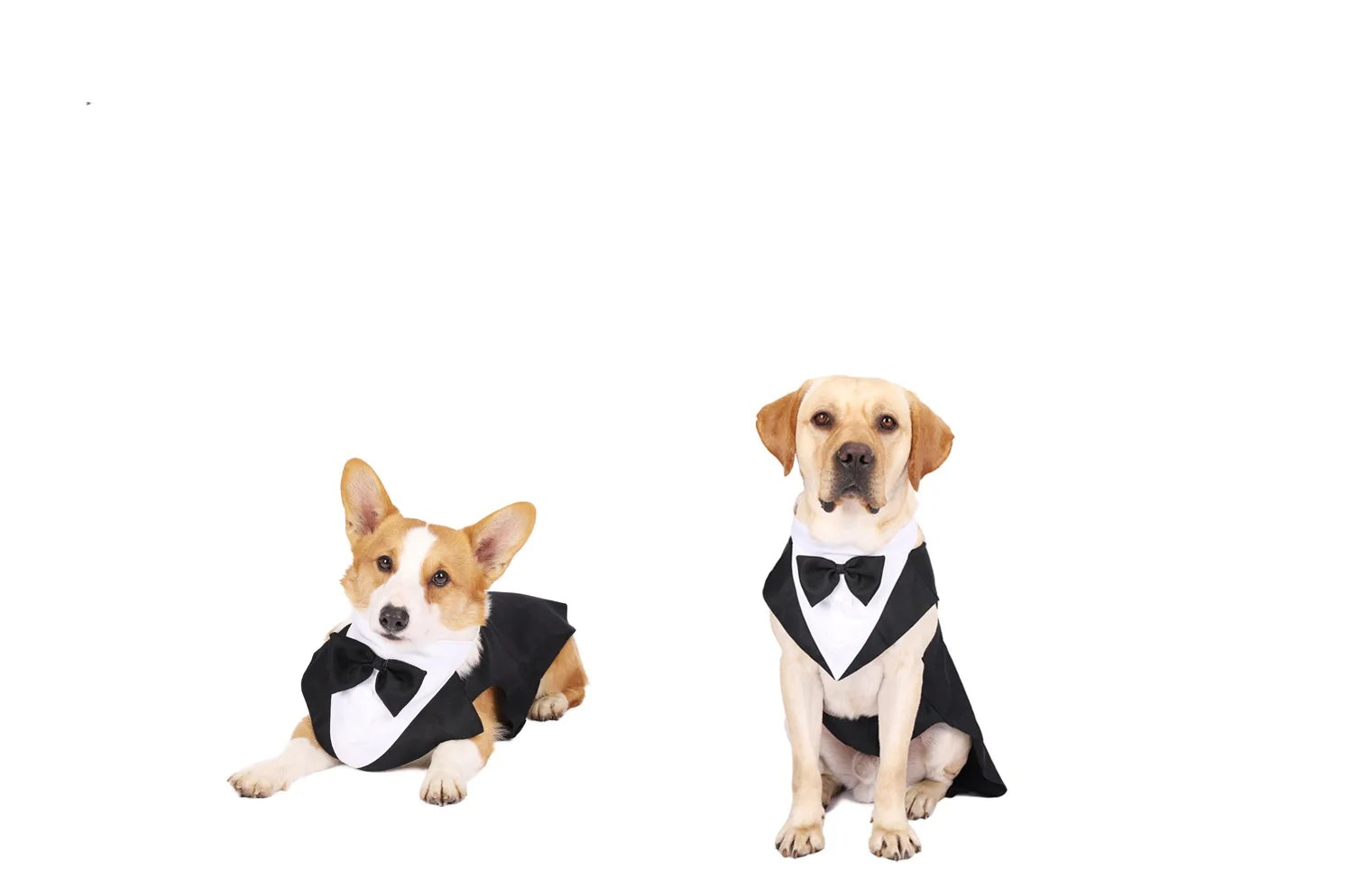 Pet Formal Wear Tuxedo Shirt