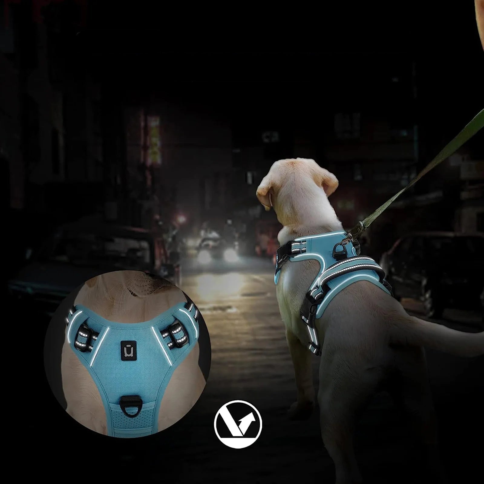 No Pull Soft Padded Dog Harness