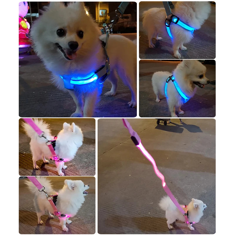 Night LED Dog Harness