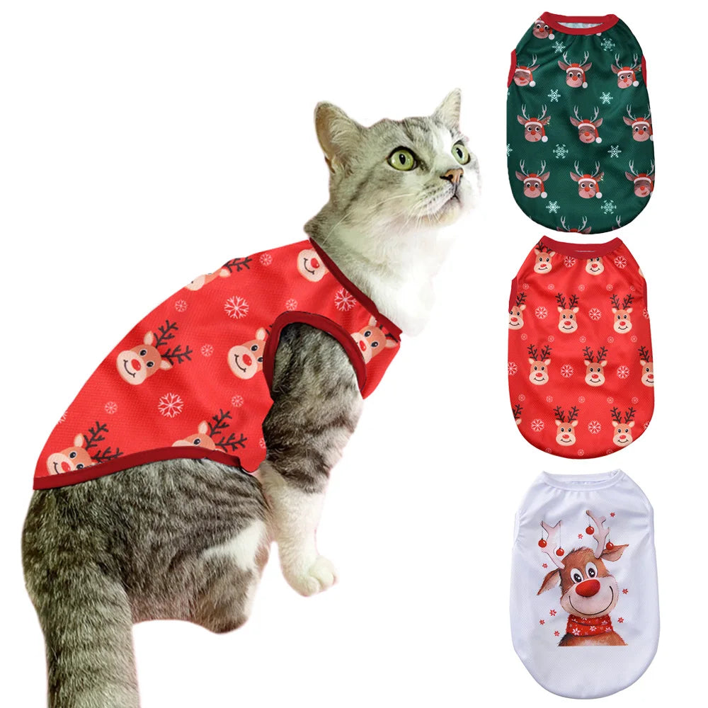 Fun Cat Costumes for Christmas Holidays