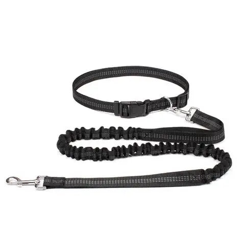 Hand Free Canicross Bungee Dog Leash