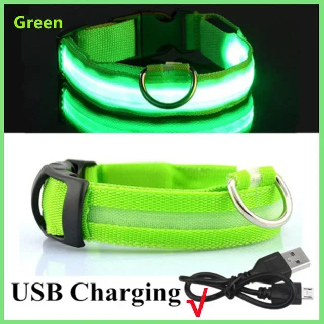 USB Rechargeable Light-Up Dog Collar