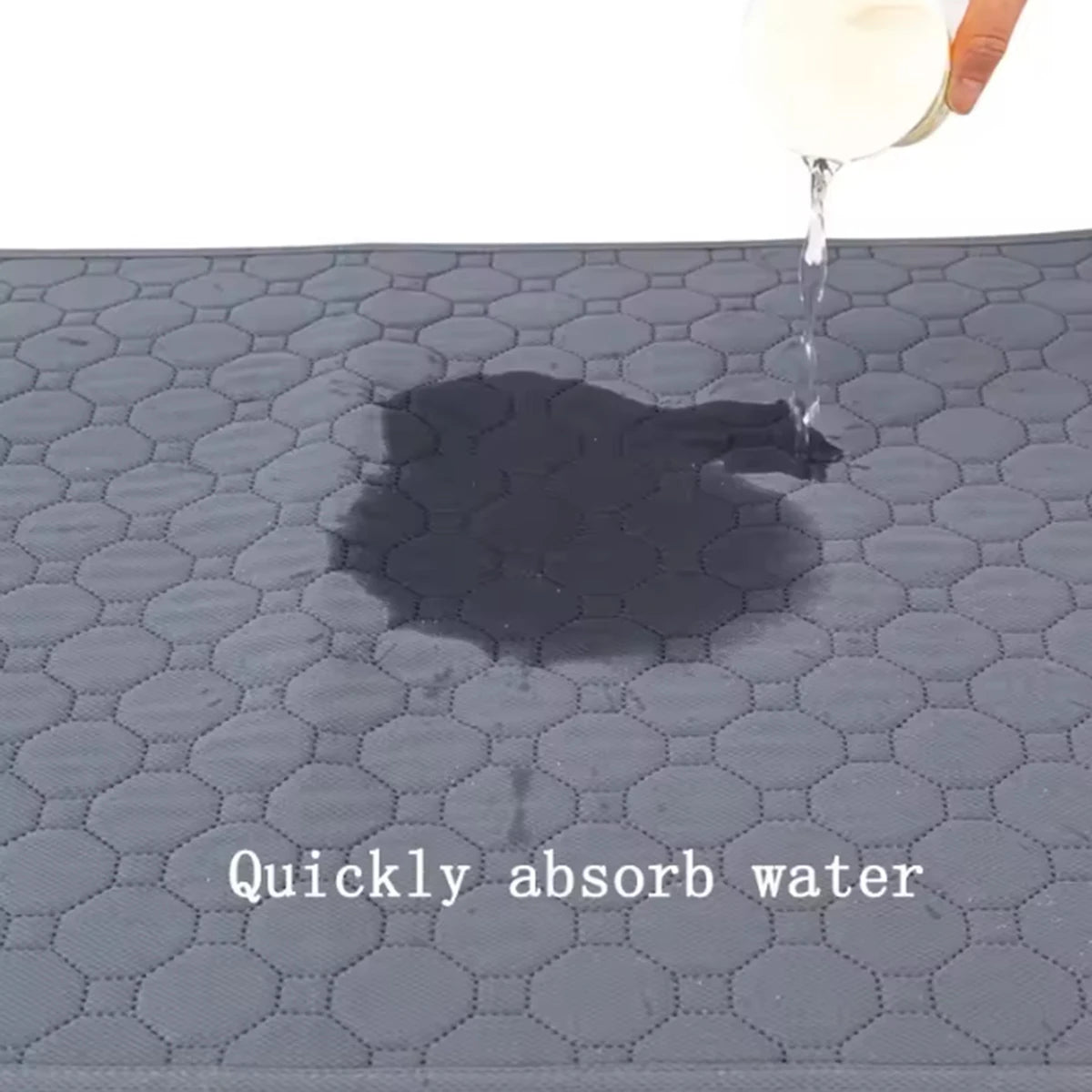 Absorbent Puppy Training Mat