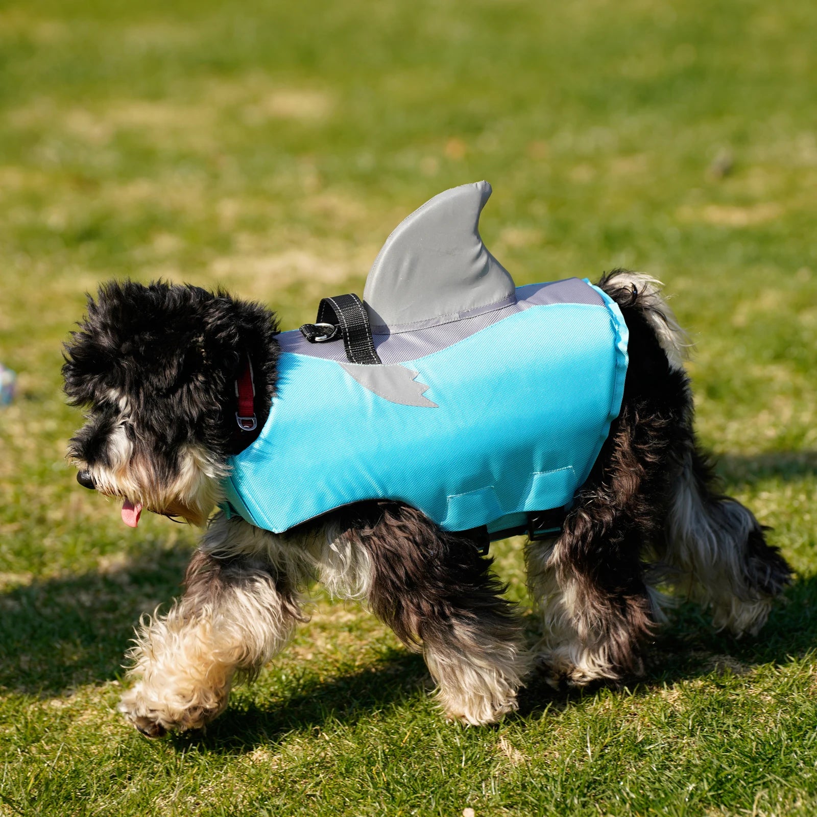 Summer Dog Life Jacket
