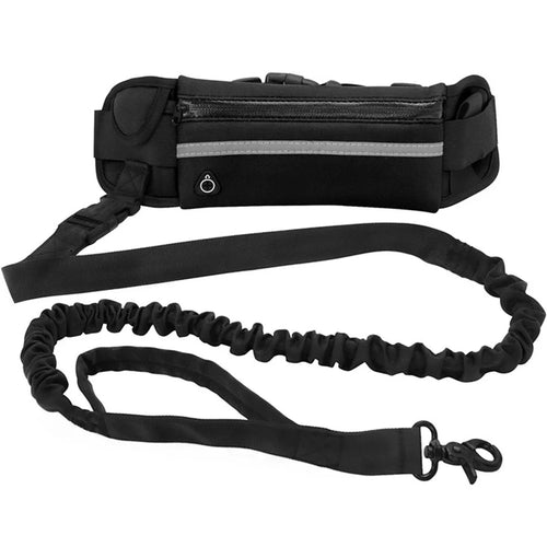 Hands-Free Walking Dog Leash With Storage available from RPBA Shop