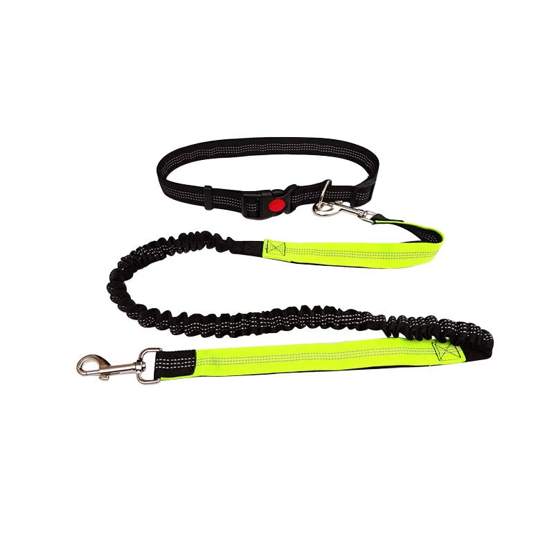 Hands-free reflective dog leash with waist belt in Green