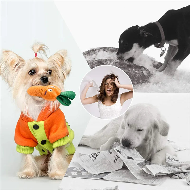 Non-Toxic Dog Squeaky Plush Toys