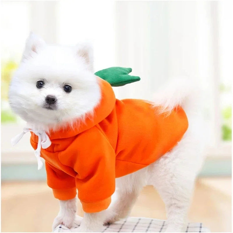 Fruit Fleece Hoodie for Small Dogs and Cats