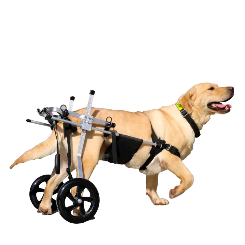 Mobility Assistance Wheelchair for Large Dog