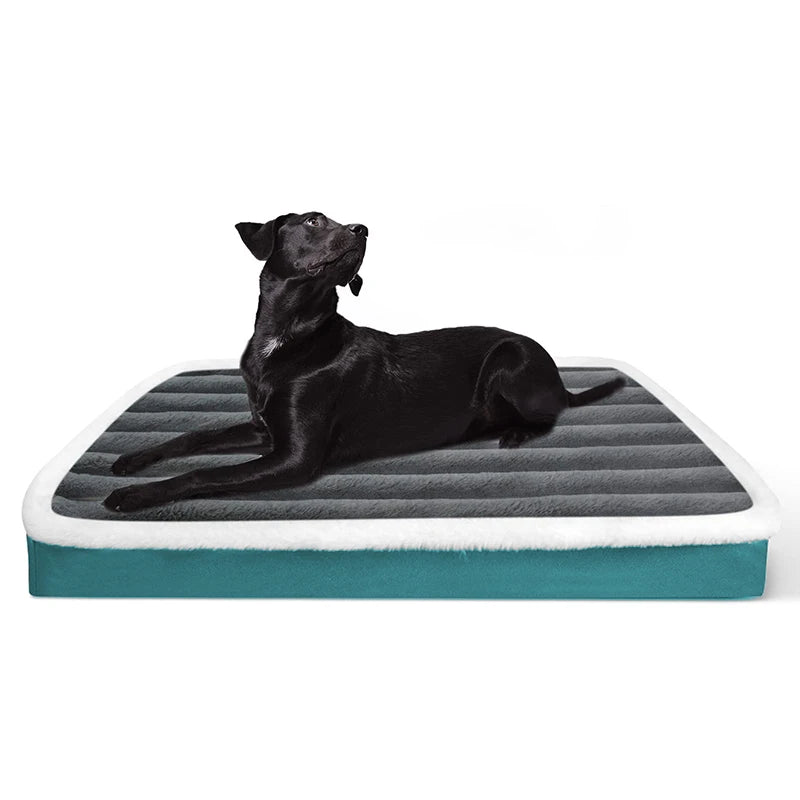 Washable Soft Orthopedic Dog Bed