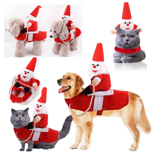 Dog wearing cowboy riding costume