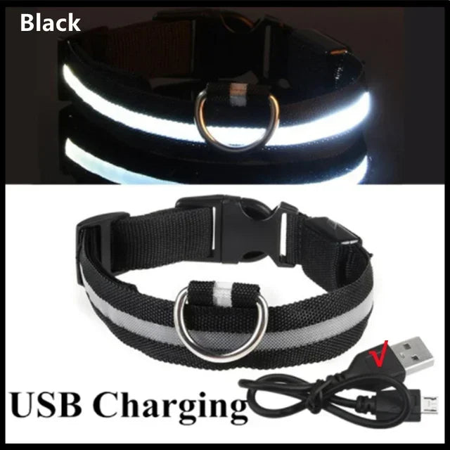 USB Rechargeable Light-Up Dog Collar