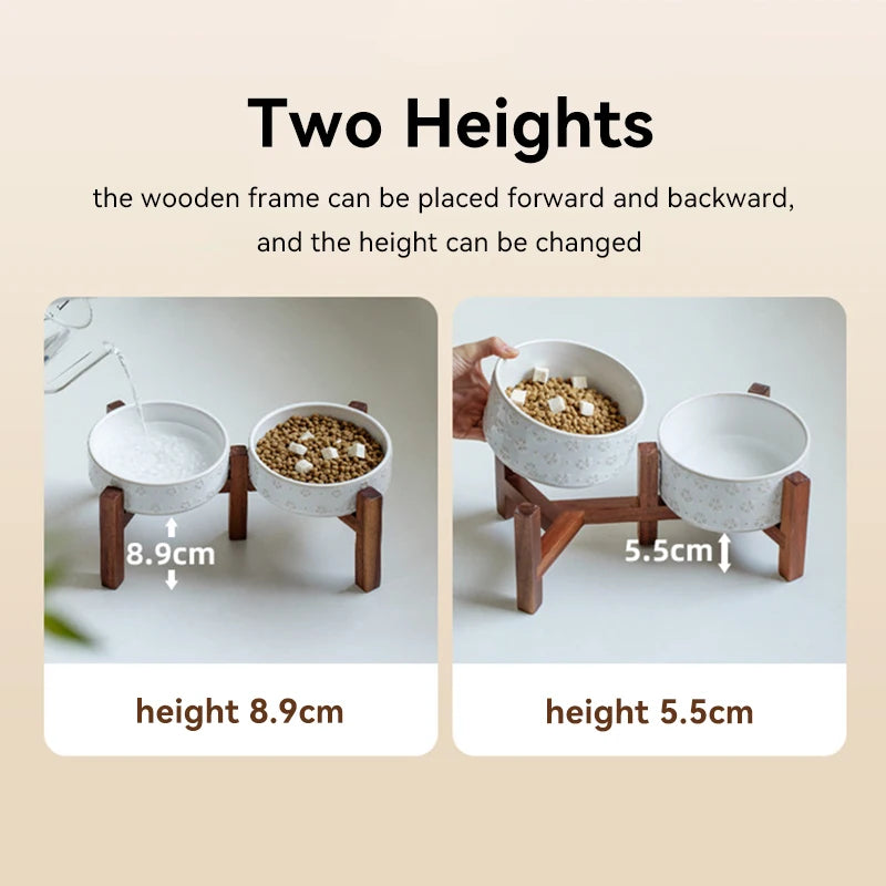 Elevated Dog Feeding Bowl Set