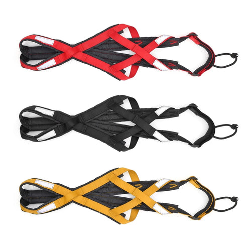 dog harness